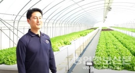 농업회사법인 풀그린주식회사 | 농업회사법인 고그린, New 수경재배 '수확량 50% 증가'