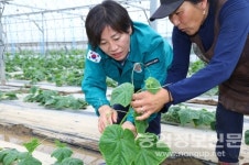 농식품부, 여름철 재해로 인한 피해 최소화 위해 노력
