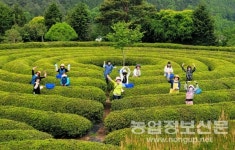 전남농기원, 올 여름휴가지 농촌교육농장 6곳 추천