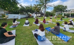 강원농기원, 마음챙김 치유농업 프로그램 성료