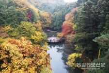 산림청, 올해의 모범 도시숲 6곳 선정