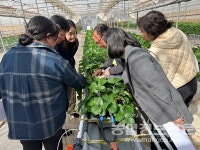 제주농기원, 스마트 농업 활성화 모색