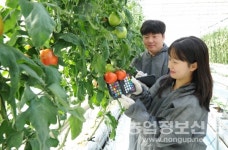전남농기원, 농업 빅데이터·AI 기반 영농 서비스 추진