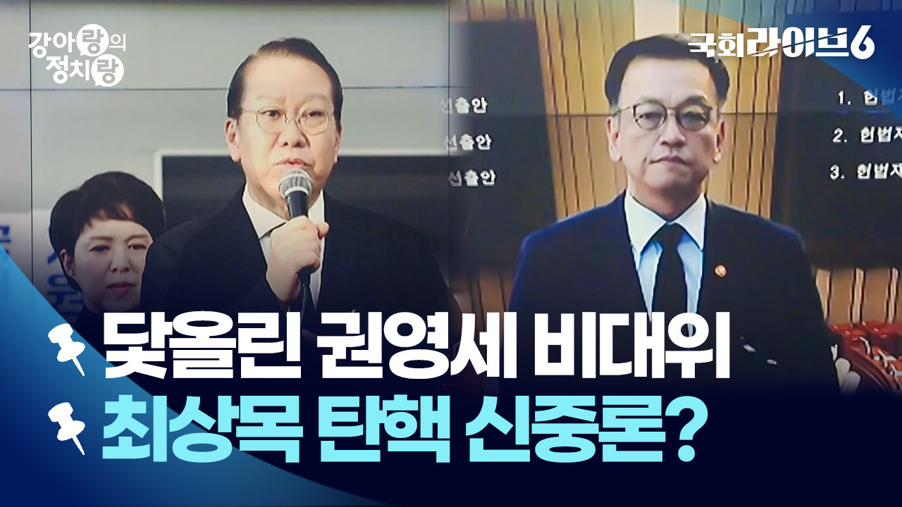 민주당, 최상목 부총리에 대한 탄핵 소추안 예정대로 처리 결정