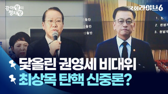 민주당, 최상목 부총리에 대한 탄핵 소추안 예정대로 처리 결정