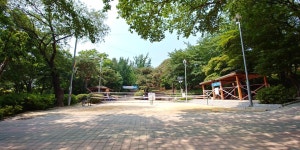 도서관을 품고 있는 야무진 녹지, 석바위공원