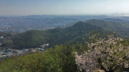 계양산은 인천 내륙생태환경의 핵심 - 계양산보호 종합계획 수립해야