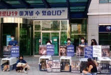 계양산 롯데목장 개들의 호소 물러날 시간을 주세요