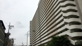 맑은 내 나비들의 떼창, 청천동