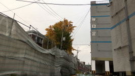 맑은 내 나비들의 떼창, 청천동