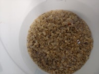 옹진군 영흥도 앞바다에 어린 개불 2만 마리 방류