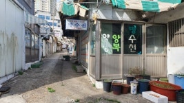 여행의 목적지가 된 동네 책방