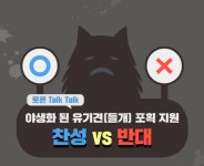 1마리당 50만원 들여 야생 유기견 포획... 시민들 의견은?