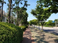 자전거도로로 운서역에서 인천공항까지