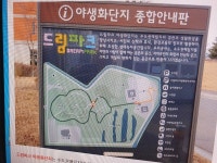 힐링의 장소, 인천드림파크 야생화단지