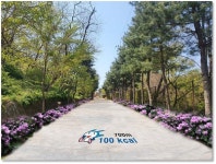 문학산 정상부 등반로 정비 추진