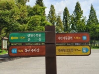 추억과 힐링의 소중한 공간 - 인천대공원