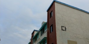 노란 찬바람이 불어오는, 임학동에서
