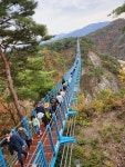 국내 최장·최고 소금산 출렁다리 - 원주 간현관광지의 가을을 찾다