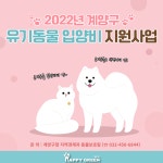 계양구, 유기동물 입양 지원금 25만원으로 늘려