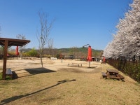 늘어가는 반려동물… 인천 반려동물 놀이터는 어디?