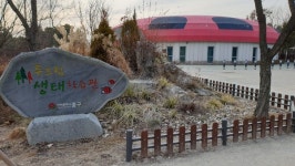 영종 세계 평화의 숲에서 자연을 배우다