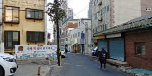 어제를 넘어 새로운 벌판으로, 효성동