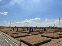 연수구, 옥련·선학동 도시텃밭 개장