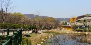 장수산의 푸른 날갯짓, 인천나비공원