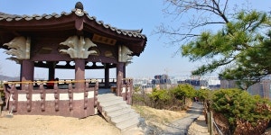 장수산의 푸른 날갯짓, 인천나비공원