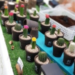 커피찌꺼기가 화분, 벽돌이 되다... 깨끗한 내일을 만드는 업사이클링