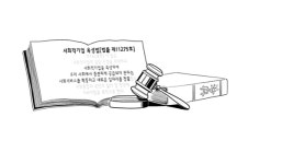 새로운 창업의 기회, 사회적 기업