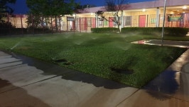 L.A에서 체감하는 문화 차이 - 높은 주택 담장, 와인과 수제 소세지