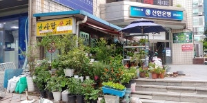 비옥한 시간이 주단처럼 펼쳐진 곳, 경인종합상가 일대