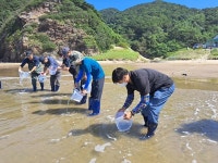 옹진군 수산종자연구소, 어린 꽃게 70만 마리 방류