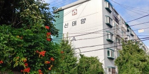 태양볕에 익어가는 과실들처럼 - 도화역(북측) 일대