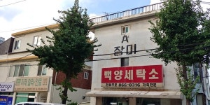 태양볕에 익어가는 과실들처럼 - 도화역(북측) 일대