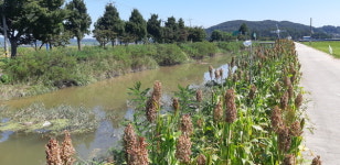 마니산과 초피산 계곡, 세개의 물줄기가 모여