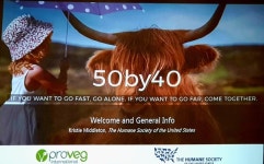 이제는 간헐적 채식의 시대