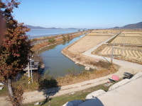 [인천in] 제49차 터덜터덜 걷기 - 11월26일 강화 서해황금들녘길