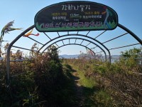 [인천in] 제49차 터덜터덜 걷기 - 11월26일 강화 서해황금들녘길