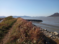 [인천in] 제49차 터덜터덜 걷기 - 11월26일 강화 서해황금들녘길