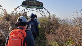 터덜터덜 서해 황금들녘 길을 걷다