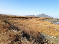 터덜터덜 서해 황금들녘 길을 걷다