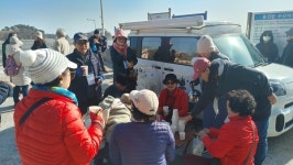 치유의 섬 자월도에서 도도하게 하룻밤