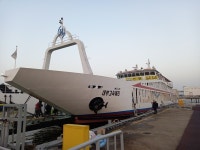 치유의 섬 자월도에서 도도하게 하룻밤