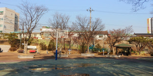 여의주를 물고 미래를 여는, 용현3동에서