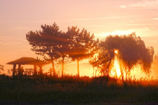 공원 사계절 풍경 앵글에 가득