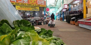 새 출발을 응원하는 봄동처럼, 열우물 전통시장 일대