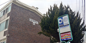새 출발을 응원하는 봄동처럼, 열우물 전통시장 일대
